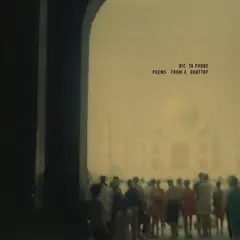 Dictaphone Poems From A Rooftop: Deluxe… - LTD (LP)