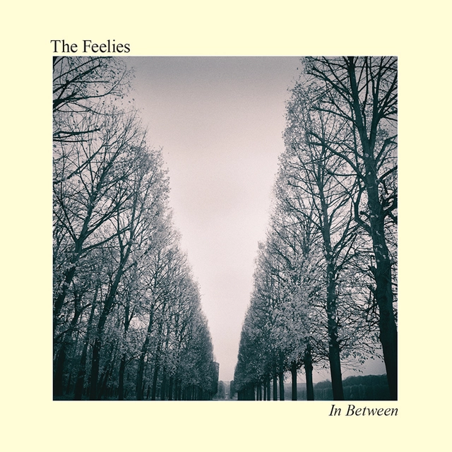 The Feelies In Between (CD) 