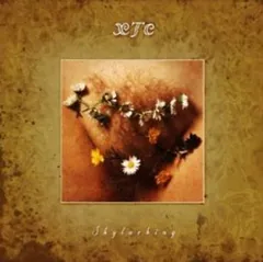 XTC Skylarking (Corrected Polarity) (CD)