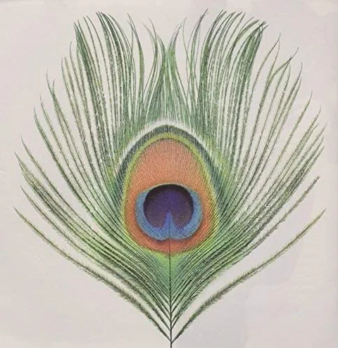 XTC Apple Venus Volume 1 (CD) 
