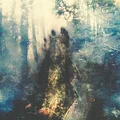 Sylvaine Wistful (CD)