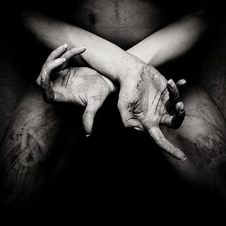 Shining (SE) X - Varg Utan Flock (CD)