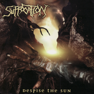 Suffocation Despise The Sun (CD)