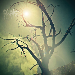 Rwake Rest (CD)
