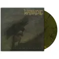 Warning Watching From A Distance - LTD (2LP)