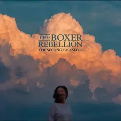 The Boxer Rebellion The Second I'm Asleep (LP)