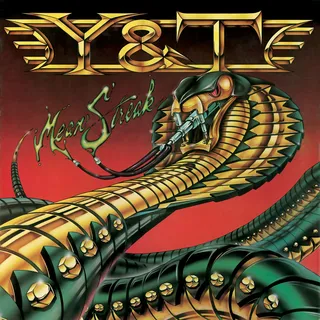 Y &amp; T Mean Streak (CD)