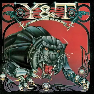 Y &amp; T Black Tiger (CD)