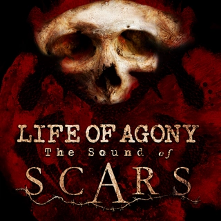 Life Of Agony Sound Of Scars (CD)