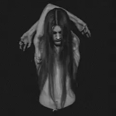 Taake Nattestid… (CD)