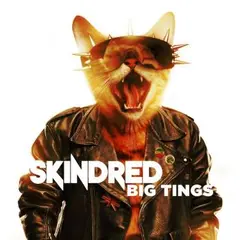Skindred Big Tings (CD)