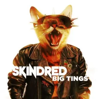 Skindred Big Tings (CD)