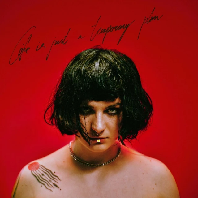 Abbie Falls Life Is Just A Temporary Plan - LTD (LP) 