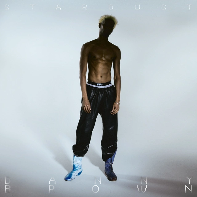 Danny Brown Stardust - LTD (2LP) 