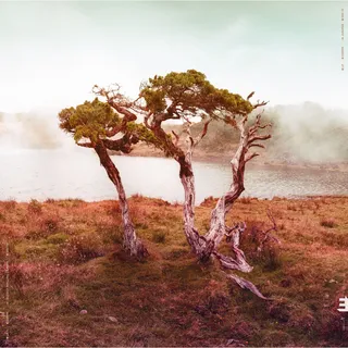 Slowly Rolling Camera Juniper (CD)