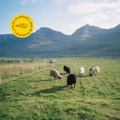 Himmelskip Den Siste Kvegdriver - LTD (LP)