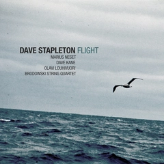 Dave Stapleton Flight (CD)