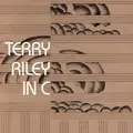 Terry Riley In C (CD)