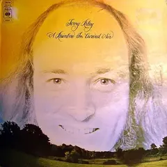 Terry Riley A Rainbow In Curved Air (CD)