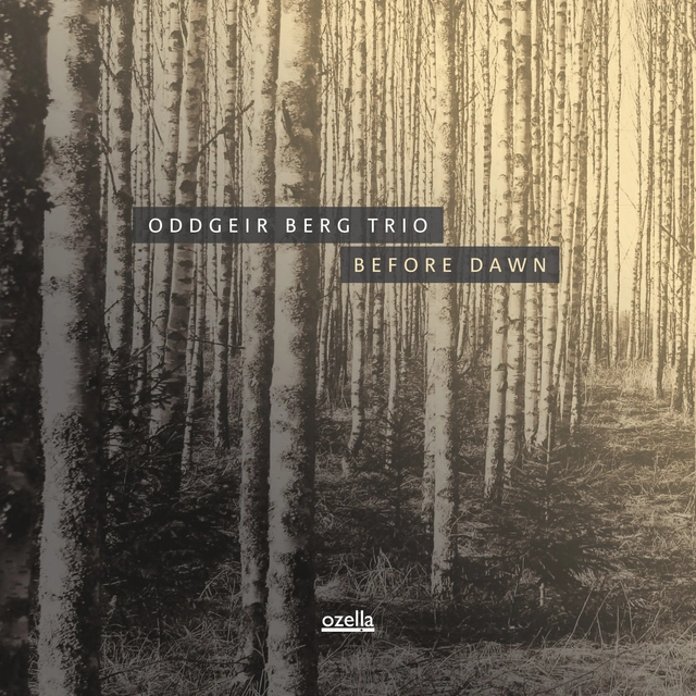 Oddgeir Berg Trio Before Dawn (CD) 