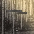 Oddgeir Berg Trio Before Dawn (LP)
