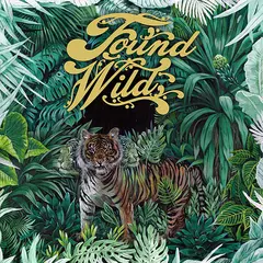 Found Wild Found Wild (LP)