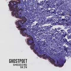 Ghostpoet Shedding Skin (CD)