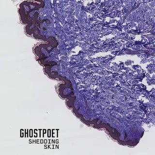 Ghostpoet Shedding Skin (CD)