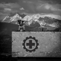 Laibach Also Sprach Zarathustra (CD)