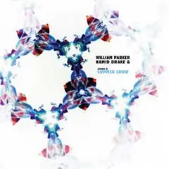 William Parker &amp; Hamid Drake Summer Snow (CD)