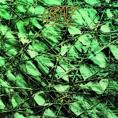 Moebius &amp; Renziehausen Ersatz (CD)