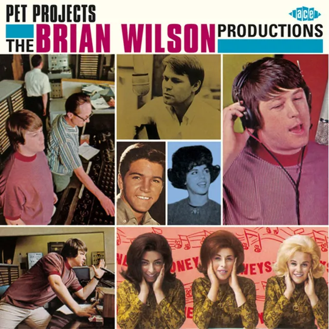 Diverse Artister Pet Projects: The Brian Wilson… (CD) 