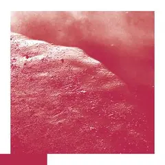 David Allred The Cell (CD)