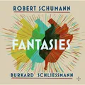 Burkard Schliessmann Robert Schumann: Fantasies (3LP)