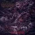 Stabbing Eon Of Obscenity - LTD (LP)