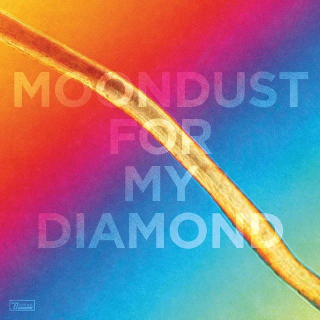 Hayden Thorpe Moondust For My Diamond (LP) 