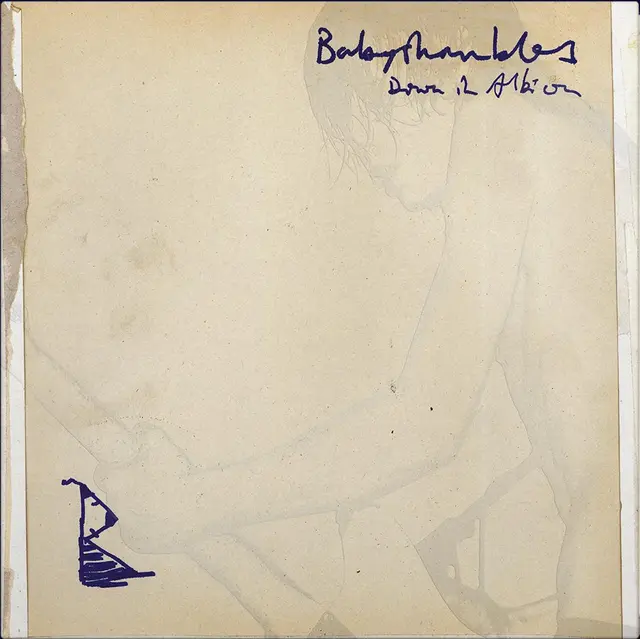 Babyshambles Down In Albion: 20th… - LTD (2LP) 