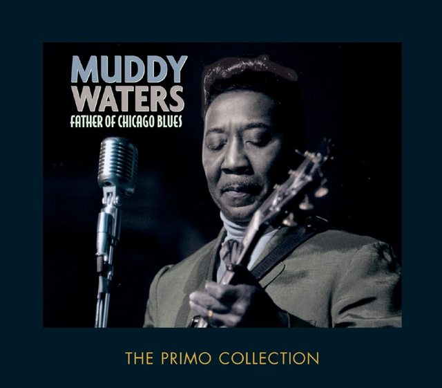 Muddy Waters Father Of Chicago Blues (2CD) 