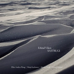 Erlend Viken Sastrugi (CD)