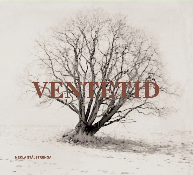 Hekla Stålstrenga Ventetid (LP) 