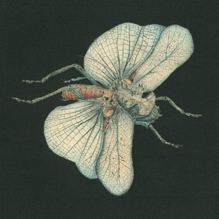 Susanna Go Dig My Grave (CD)