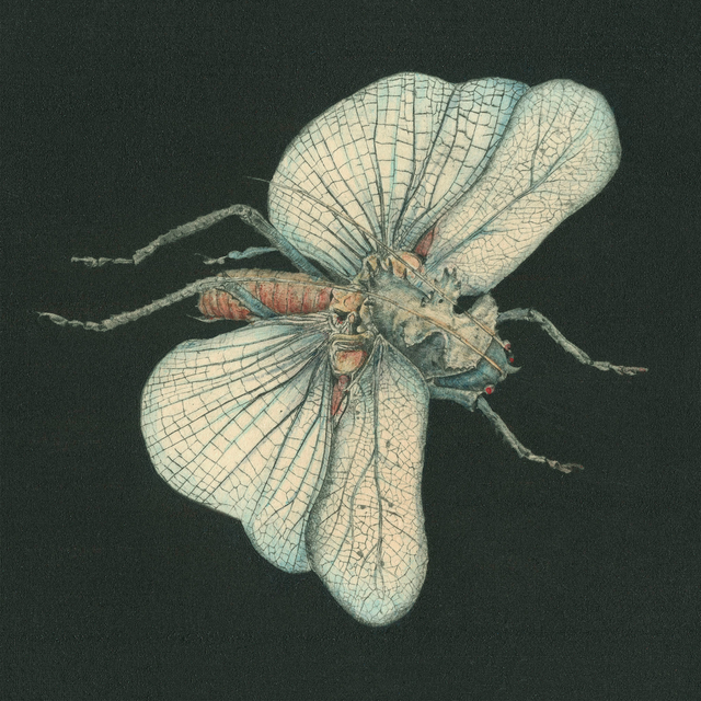 Susanna Go Dig My Grave (CD) 