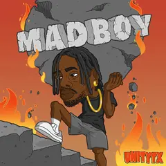 Unitytx Madboy (LP)