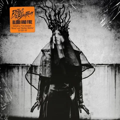 The Brides Of The Black Room Blood & Fire (LP) 