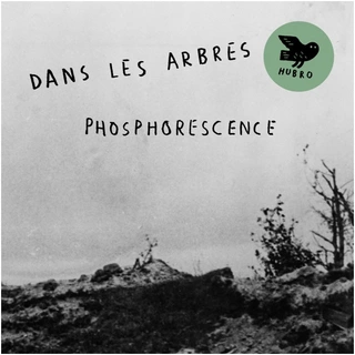 Dans Les Arbres Phosphoresence (CD)