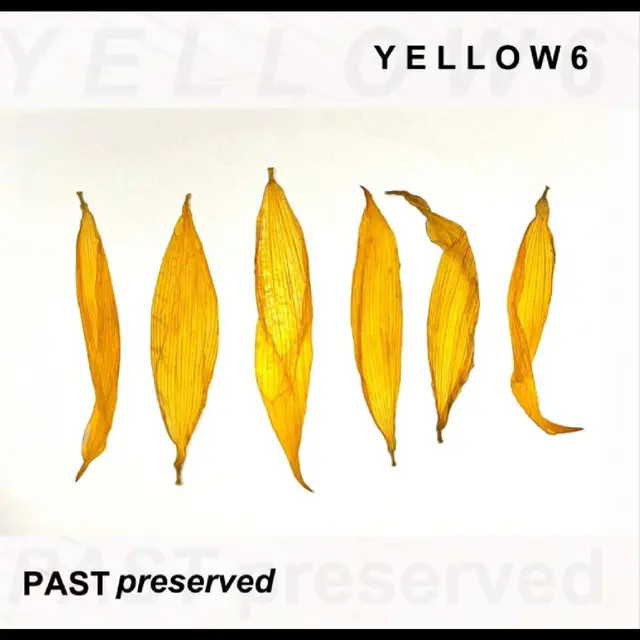 Yellow6 Past Preserved - LTD (LP) 