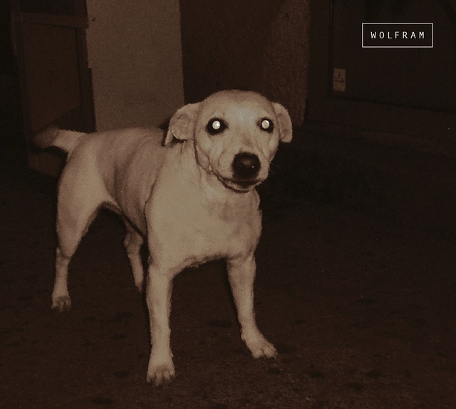 Wolfram Trio Wolfram (CD) 