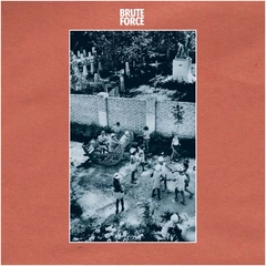 Brute Force Brute Force (CD)