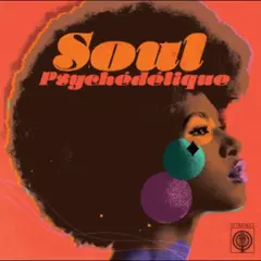 Diverse Arister Soul Psychédélique (2LP)