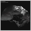 Stian Westerhus Pitch Black Star Spangled (CD)
